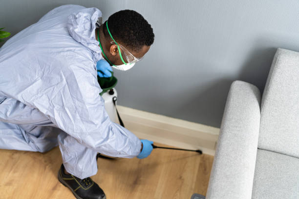 Best Pest Prevention Services  in Bent Creek, NC